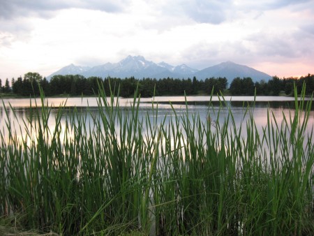 Rybník Spišská Belá